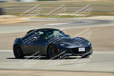 media/May-24-2025-Turn8 Trackdays (Sat) [[034586b55d]]/4 Inter 2/Session 2 (Cotton Corners-Grapevine)/